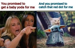 Woman yelling at baby yoda cat Meme Template