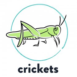 Crickets Meme Template