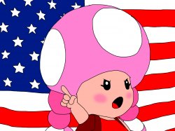 Toadette American Flag Meme Template