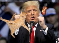 Trump, Pussy-Grabber-in-Chief Meme Template