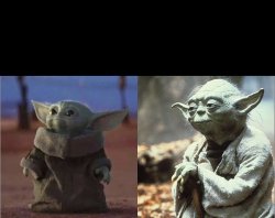 Baby Yoda Old YOda Meme Template