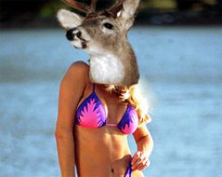 Timiddeer Bikini Meme Template