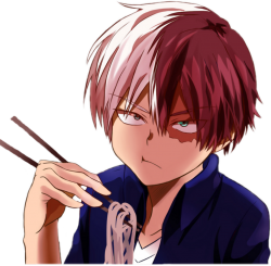 Todoroki Meme Template