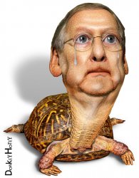 Turtle Mitch Crying Meme Template