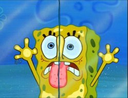 Door licking/Trying to get in Spongebob Meme Template