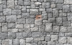 Trump Stonewall Meme Template