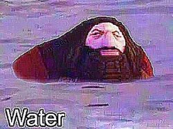 PS1 Hagrid "Water" Meme Meme Template