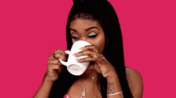tea sip Meme Template
