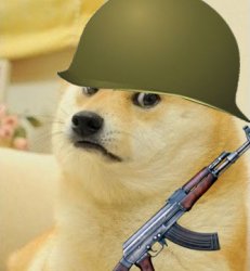 MILITARY DOGE Meme Template
