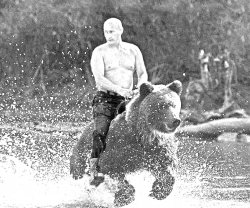 Putin riding Bear Meme Template