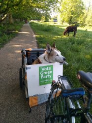 Cycle to work dog Meme Template
