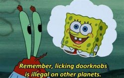 Remember, Licking Doorknobs is Illegal on Other Planets Meme Template