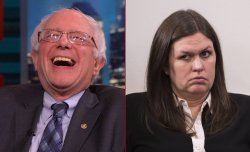 Which Sanders Meme Template