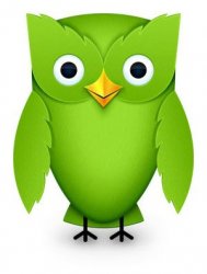2012 Duolingo Owl Meme Template