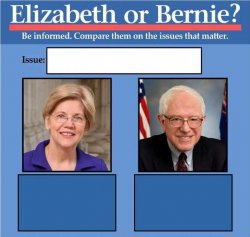 Elizabeth or Bernie? Meme Template