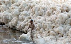 Sea Foam Meme Template