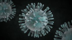 Coronavirus Meme Template