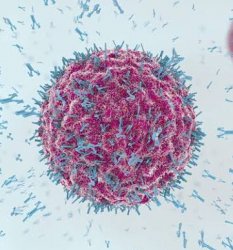 Coronavirus Meme Meme Template