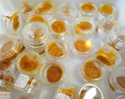 cannabis concentrate Meme Template