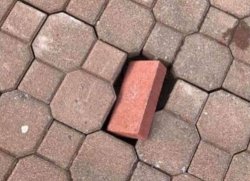 Brick in the floor Meme Template