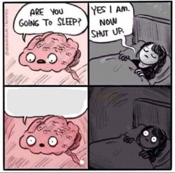 Sleeping Brain Meme Template