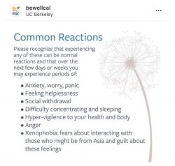 Coronavirus Common Reactions Meme Template