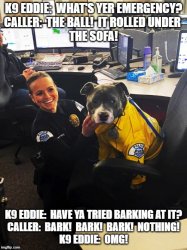 K9 Eddie dispatching Meme Template