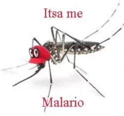 malario Meme Template