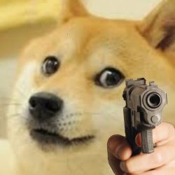 Crying Doge With Gun