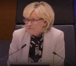 Mad woman in EU parliament Meme Template