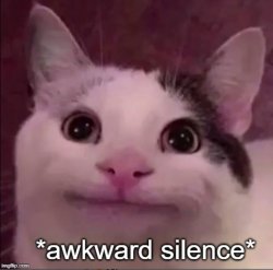 Awkward silence cat Meme Template