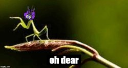 Cutbug Oh Dear Meme Template