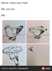 Helicopter pigeon Meme Template
