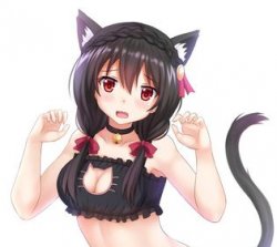 Yunyun Neko Meme Template