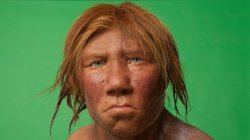 Neanderthal Trump Meme Template