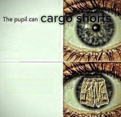 the pupil can CARGO SHORTS Meme Template