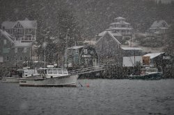 Winter in Maine Meme Template