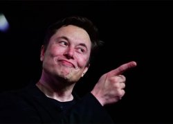Elon musk Meme Template