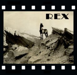 Rex the wonder horse Meme Template