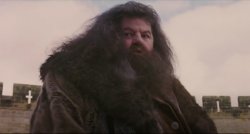 Hagrid No More Questions Meme Template