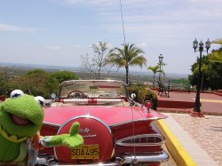 Kermit in Cuba Meme Template