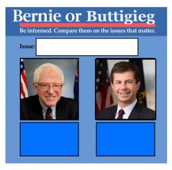 Bernie or Buttigieg Meme Template