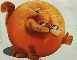 garfield orange Meme Template