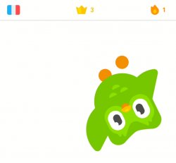 Duolingo bird is watching Meme Template