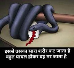 surya dev Meme Template