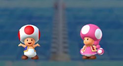 Toad and Toadette Meme Template