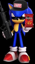 MLG Sonic Meme Template