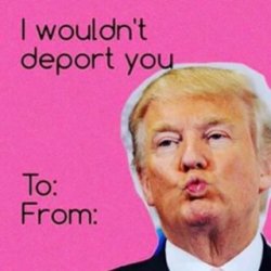 Trump Valentine Meme Template