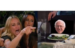 Woman yelling at Bernie Meme Template