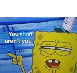 You short aren't you Meme Template